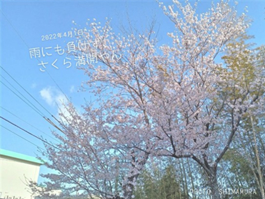 きれい。