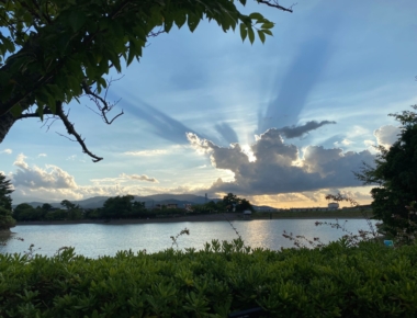 休日の散歩中・・・👣