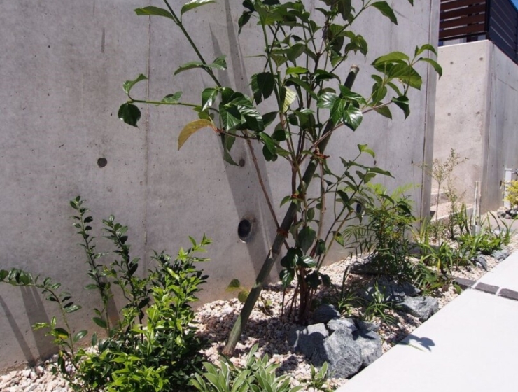 分譲住宅のエクステリア