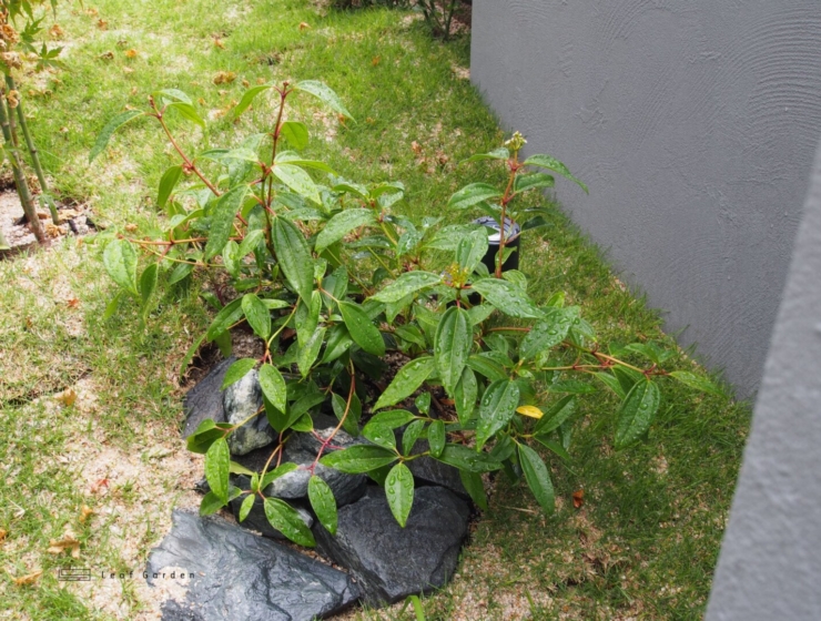 建物と調和したモダン・エクステリア
