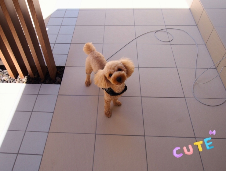 エレガントなガーデンリフォーム