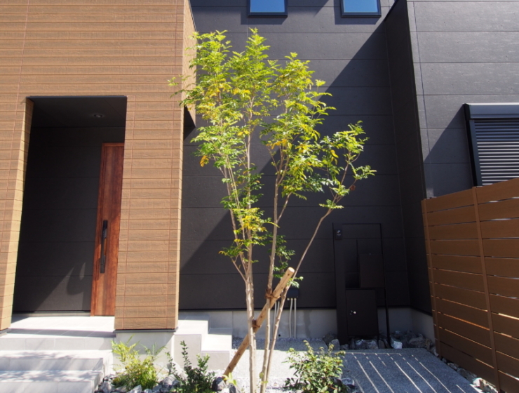 落ち着きとモダンなエクステリア