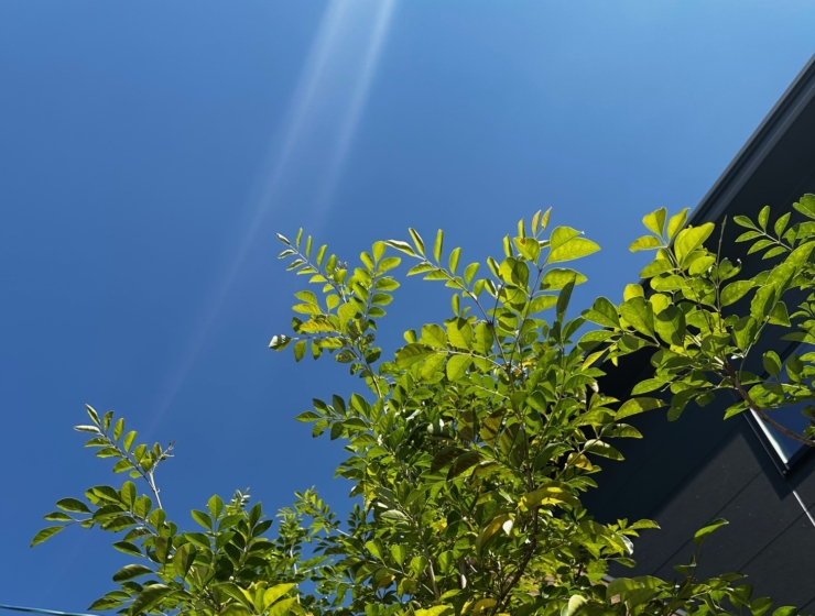 落ち着きとモダンなエクステリア